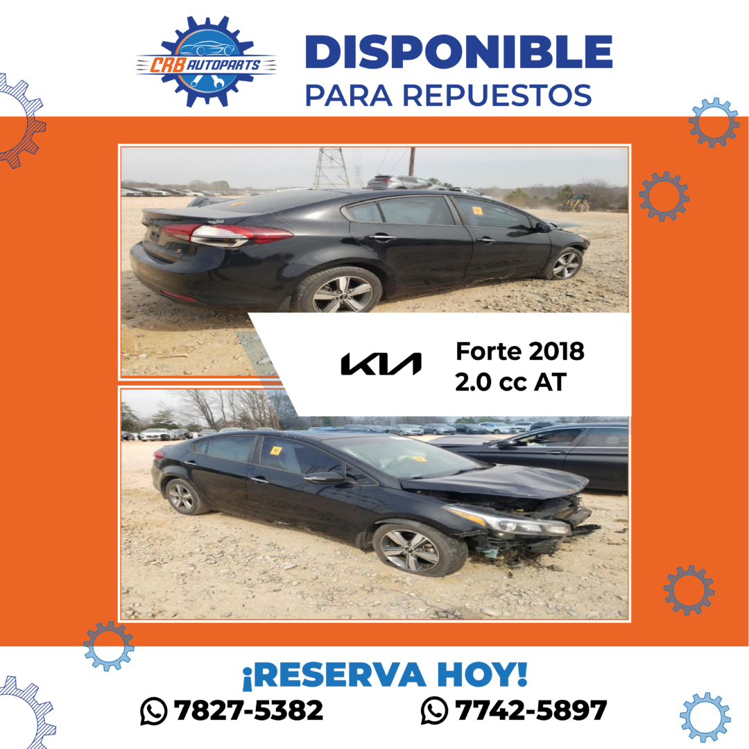 Nueva mercadería para repuestos – Contenedor 75 19 c-75 Forte 2018